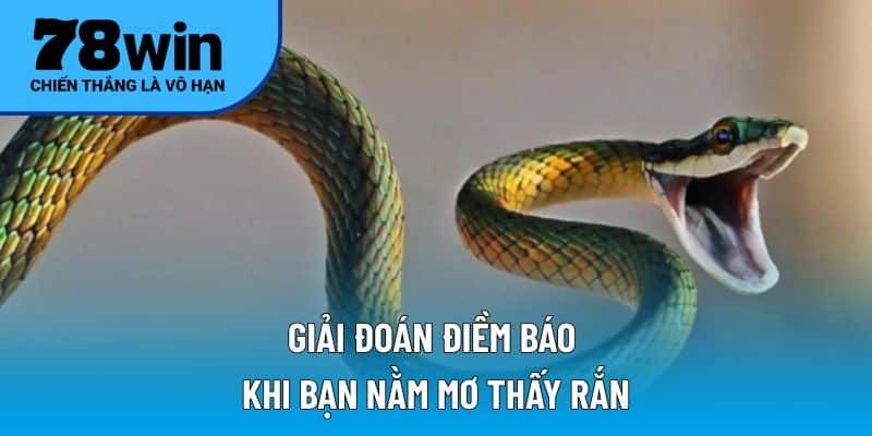Giải đoán điềm báo khi bạn nằm mơ thấy rắn